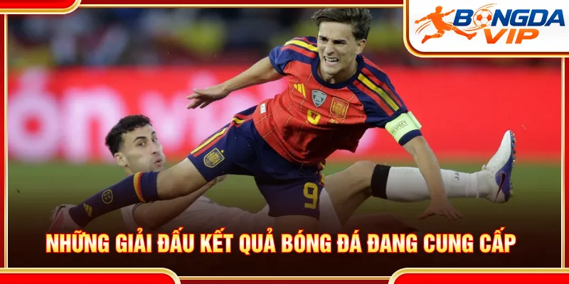 Đầy đủ các giải được danh mục kết quả bóng đá cung cấp
