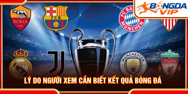 Người xem tham khảo nhận định chuyên gia về trận đấu