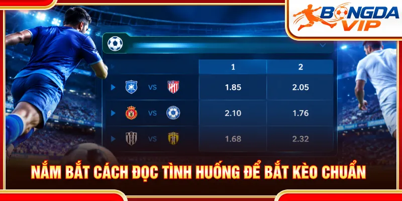 Trang web cung cấp thể loại cược phong phú dựa trên thực tế