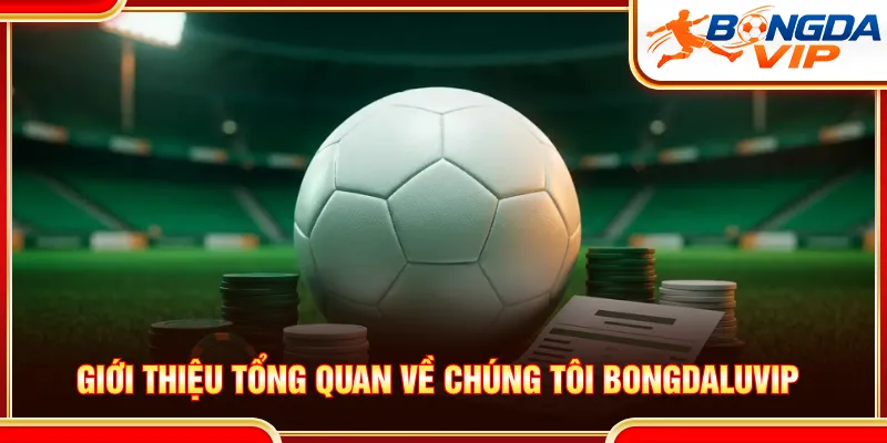 Về chúng tôi nền tảng cung cấp sân chơi bóng đá đa dạng