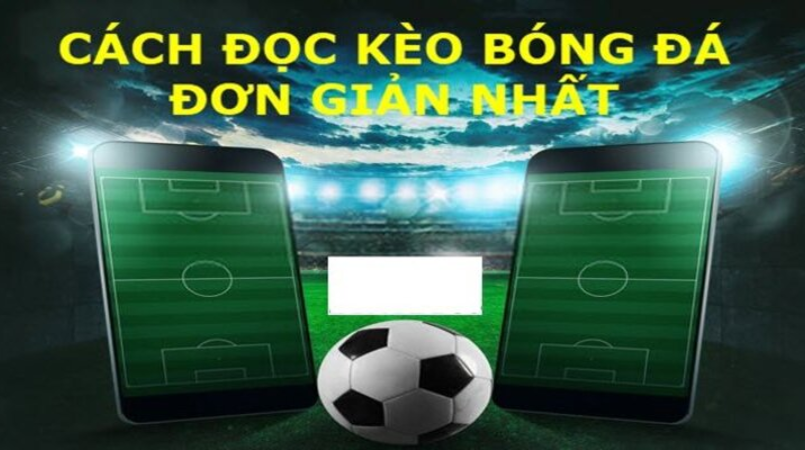 Cách đọc kèo bóng đá 