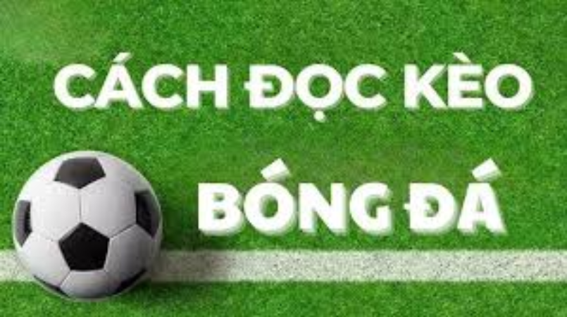 Cách đọc kèo bóng đá