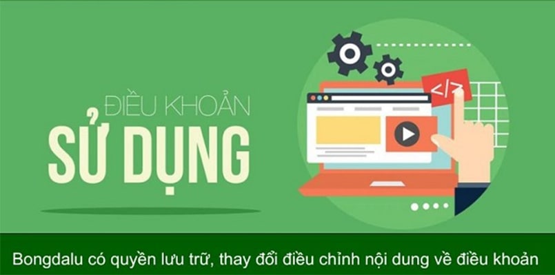 Trách nhiệm và vi phạm của thành viên