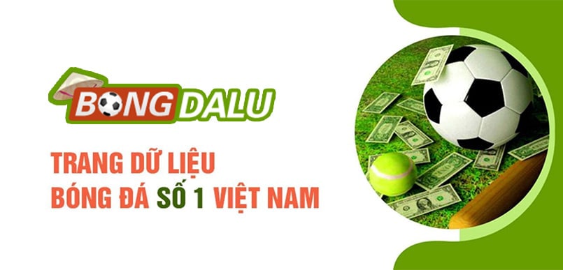 Giới thiệu về điều khoản sử dụng tại Bongdaluvip.cc